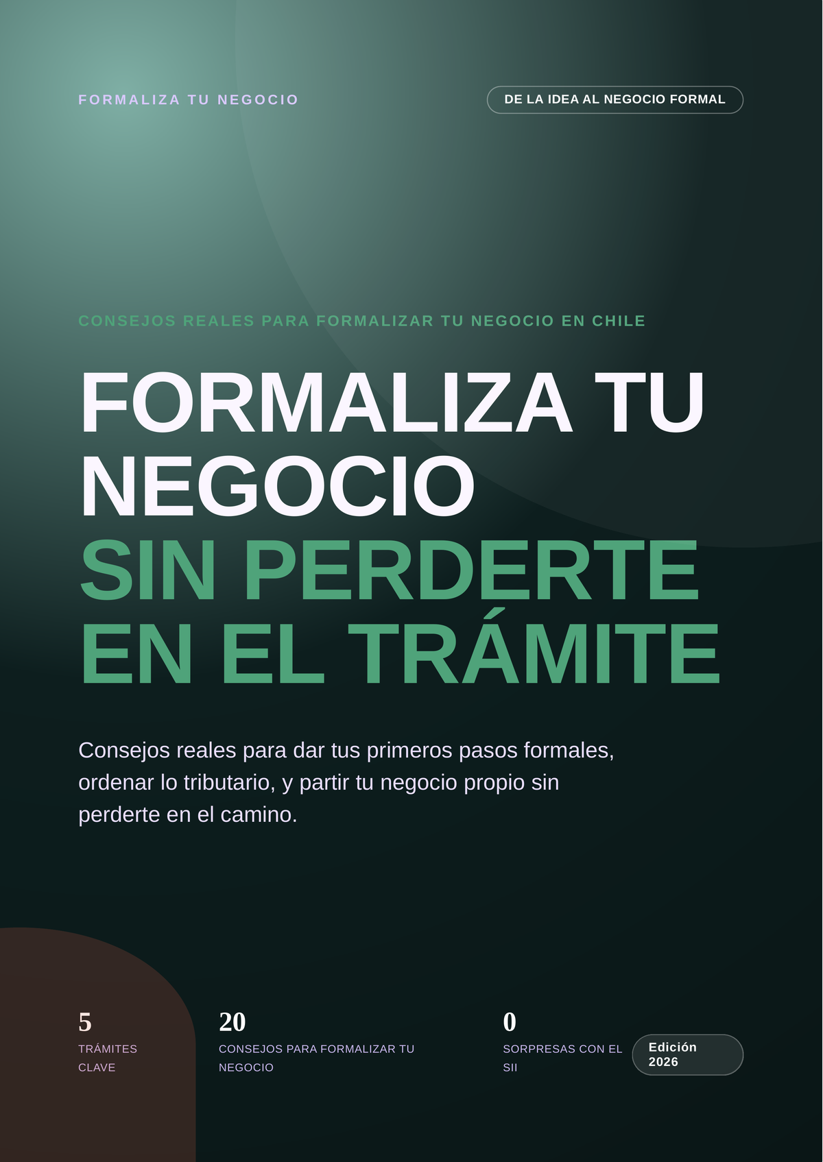 Formaliza tu Negocio sin Perderte en el Trámite — Guía Práctica