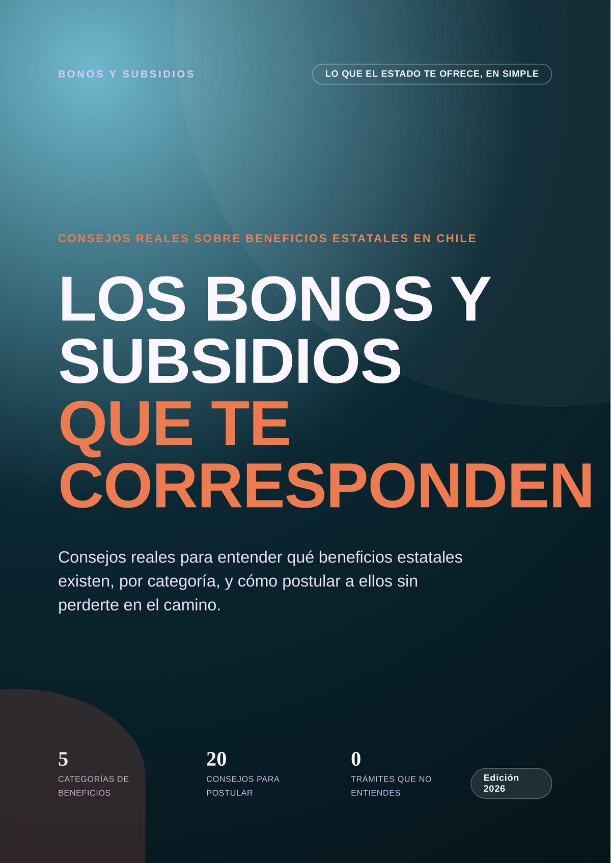 Los Bonos y Subsidios que te Corresponden — Guía Práctica